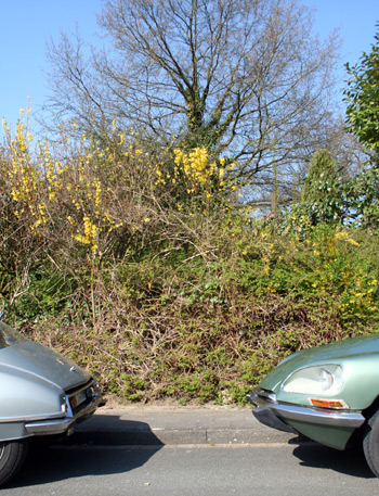 Helfertreffen