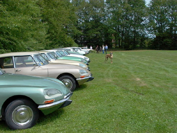 Lengrich 2010
