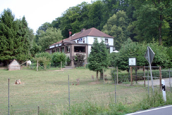 Hotel zum Waldfrieden